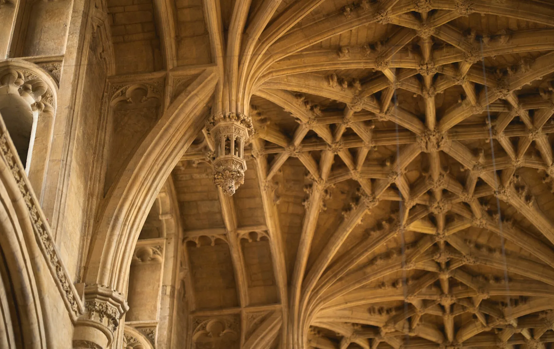 Cathedral vaulting