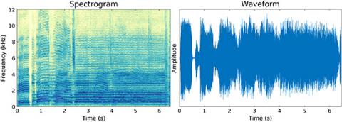 sample images showing a Spectrogram (left) and Waveform (right)