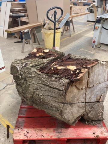 A portion of a large sycamore log stands on a red pallet lifter in the Christ Church workshop