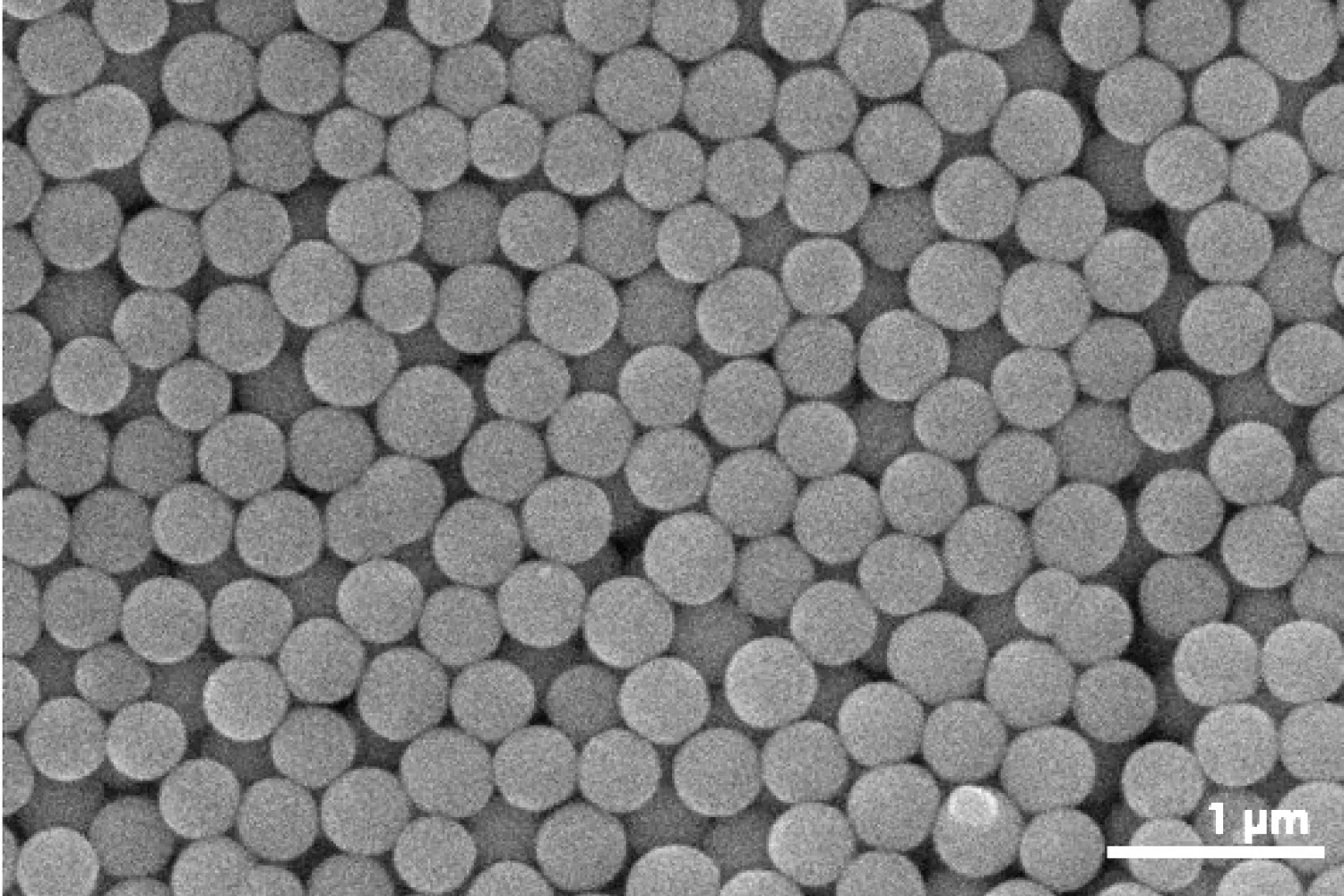 Scanning Electron Microscope image of colloidal particles