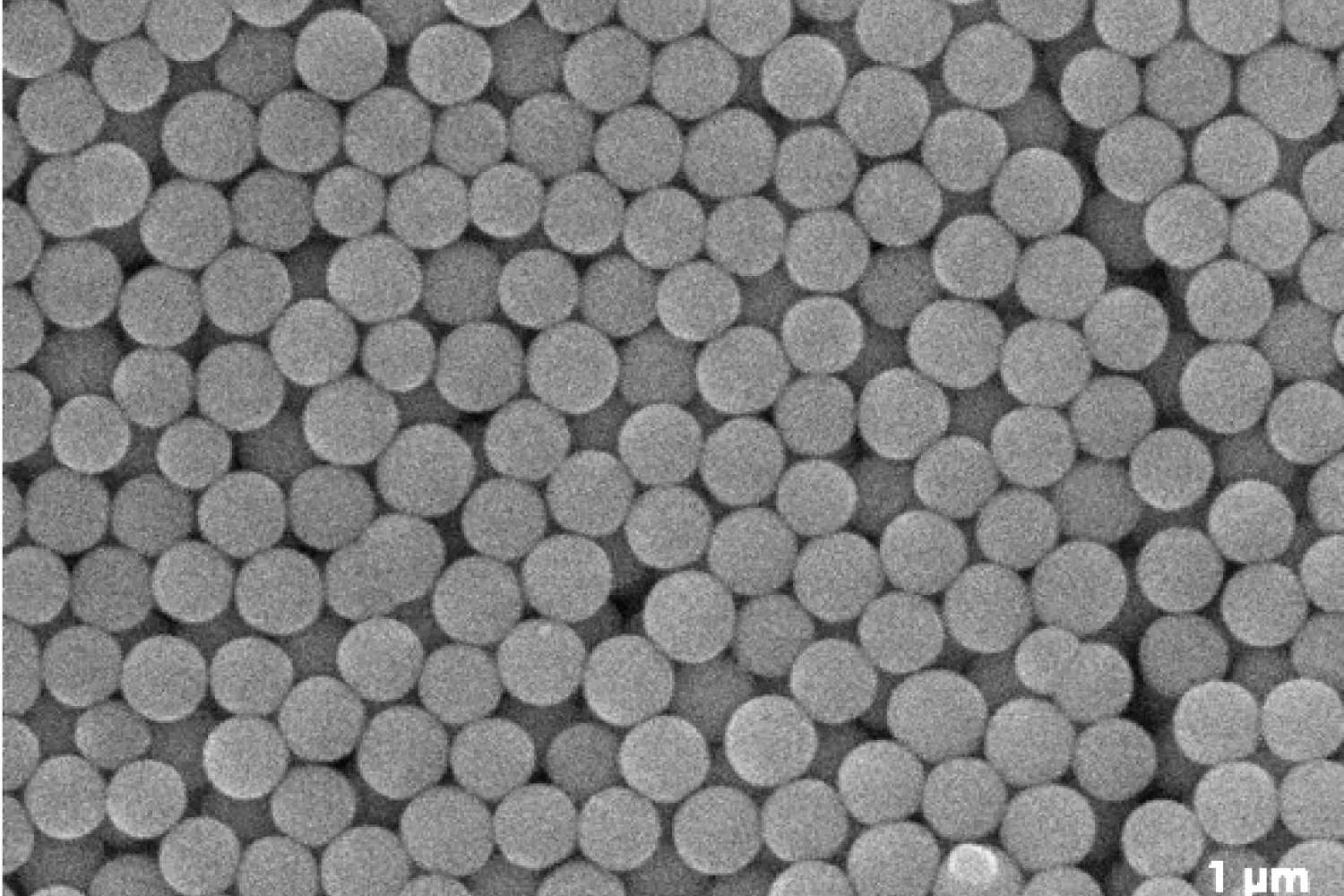 Scanning Electron Microscope image of colloidal particles