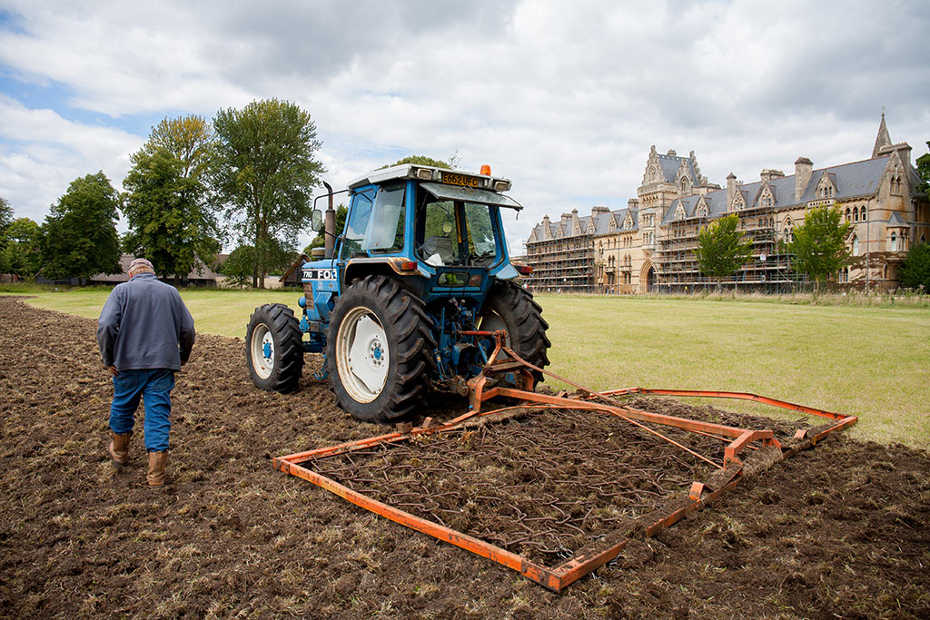 Chain harrow to level off any lumps before sowing