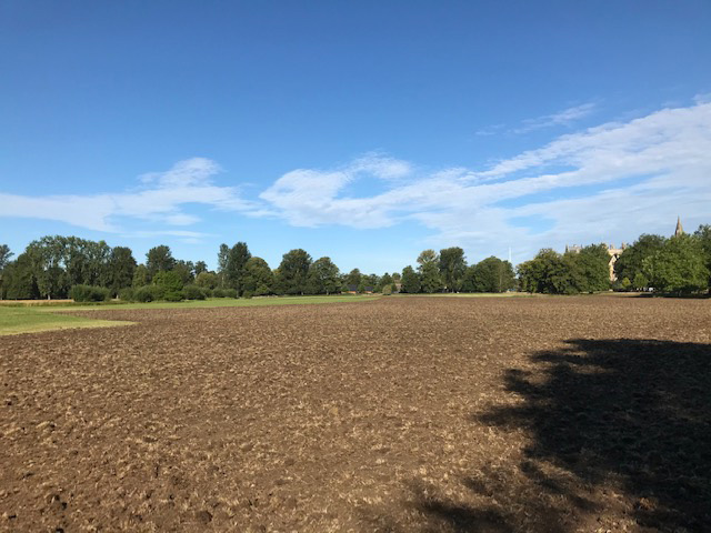 Soil cultivation complete, ready for the green hay to be spread