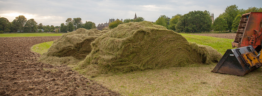 The green hay arrives at Christ Church