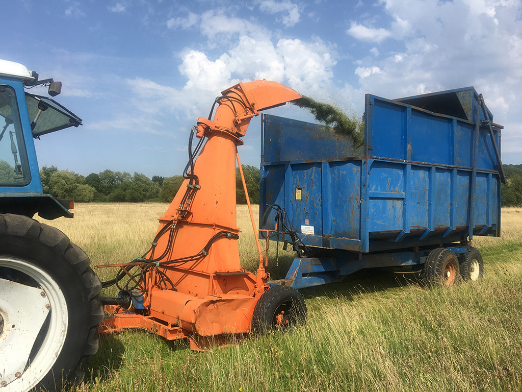 Harvesting the green hay at Long Mead with a direct cut forage harvester