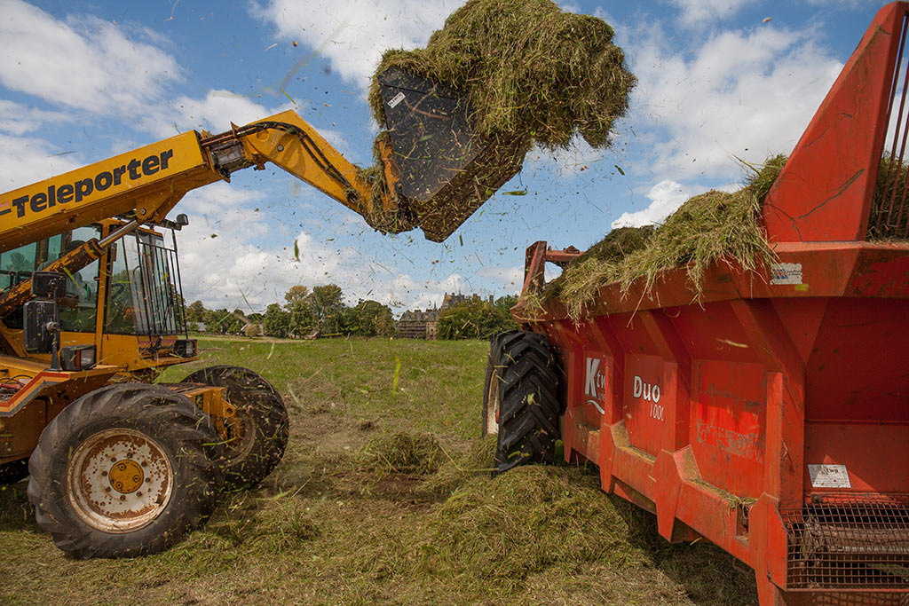 Loading the green hay into a muck spreader