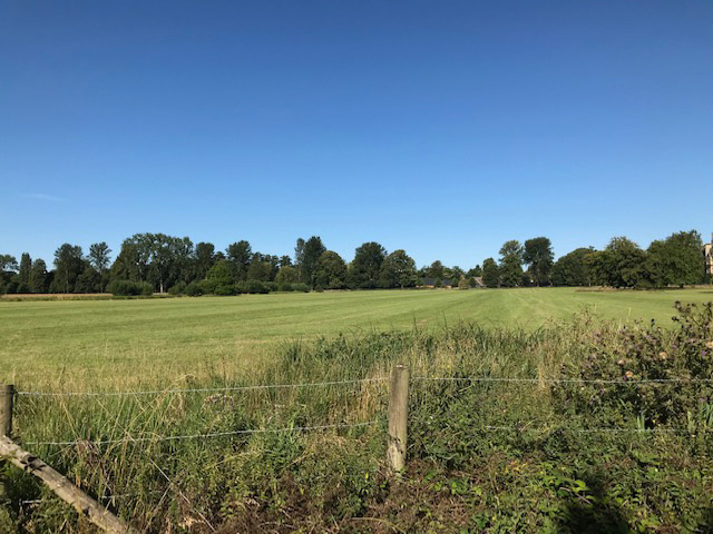 Christ Church Meadow after the initial hay cut