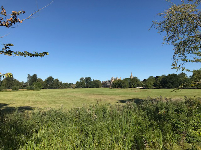 Christ Church Meadow after the initial hay cut