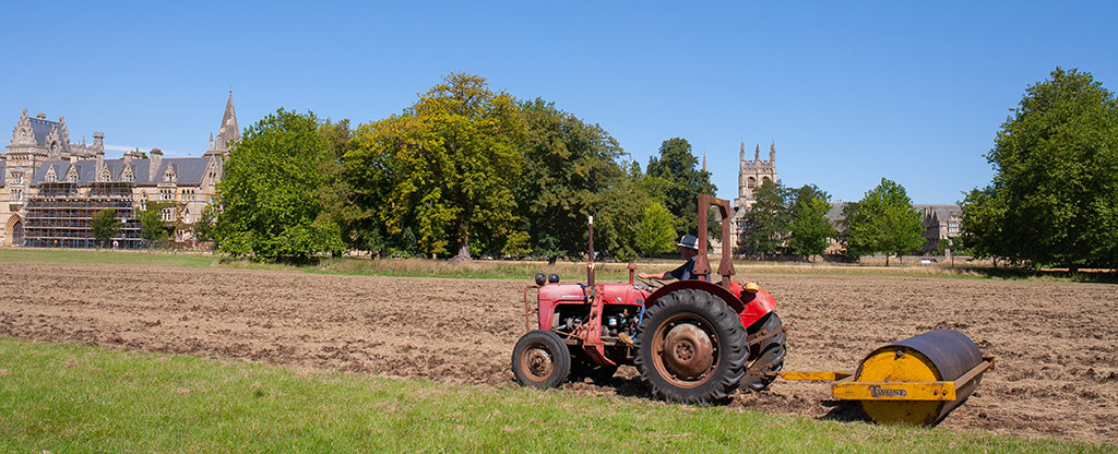 Rolling to ensure good seed/soil contact