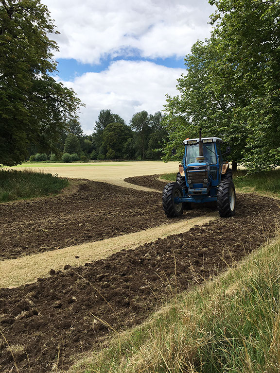 Soil cultivation using a shallow rotovator