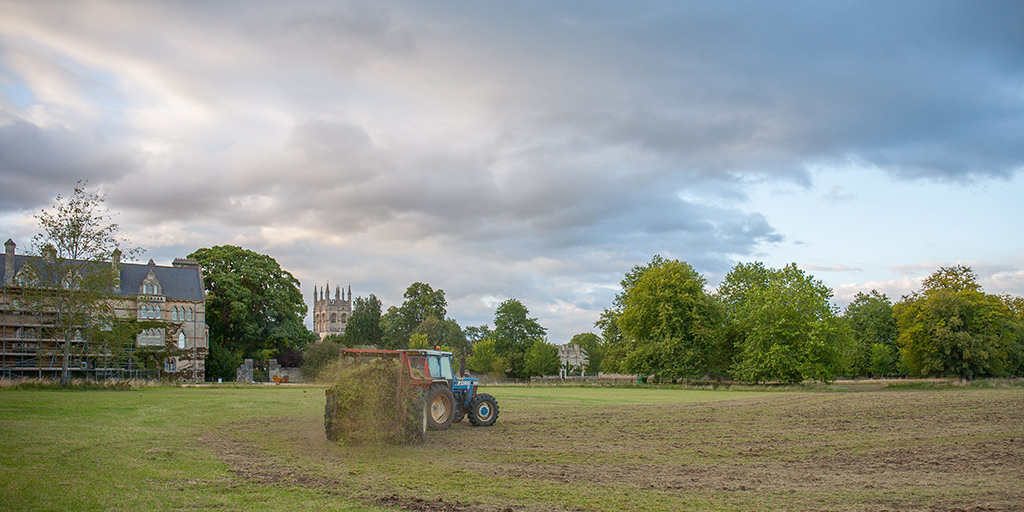 Spreading the green hay