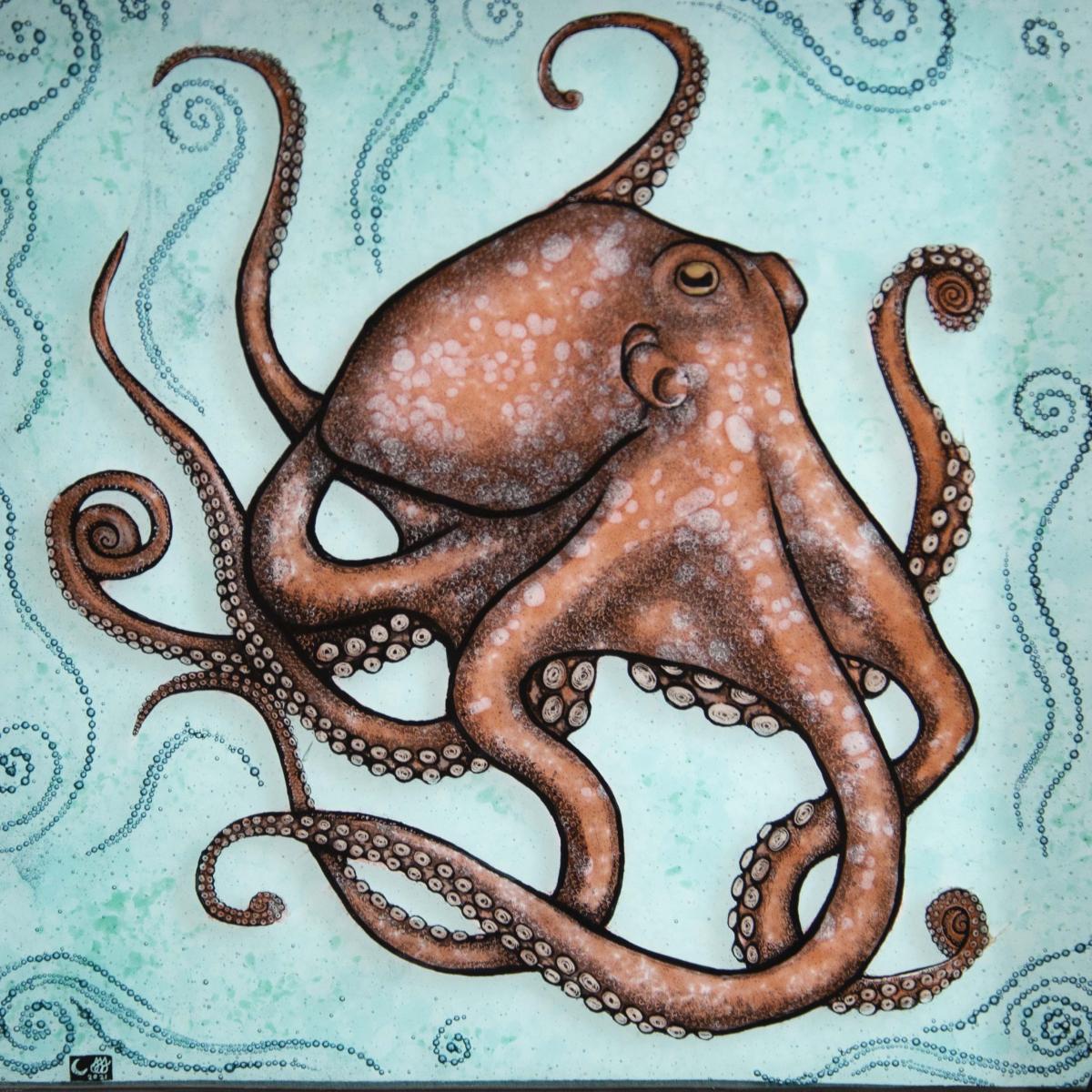 Photo of one of the exhibition panels showing an octopus on a blue background