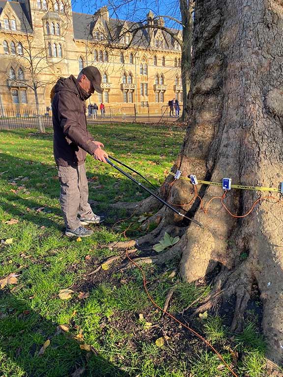 Tomograph sensors in position on the tree