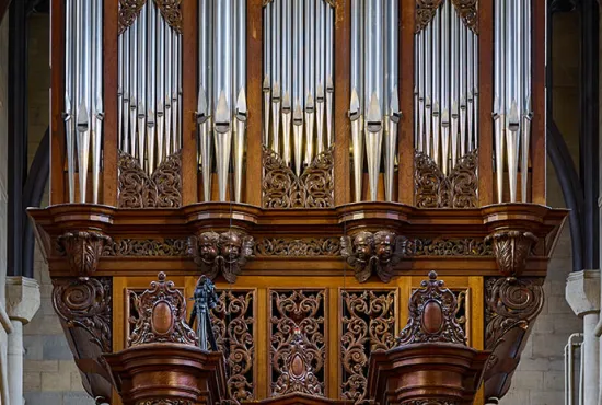 Detail of the Organ