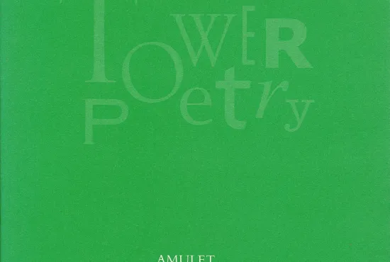 Cover for Amulet