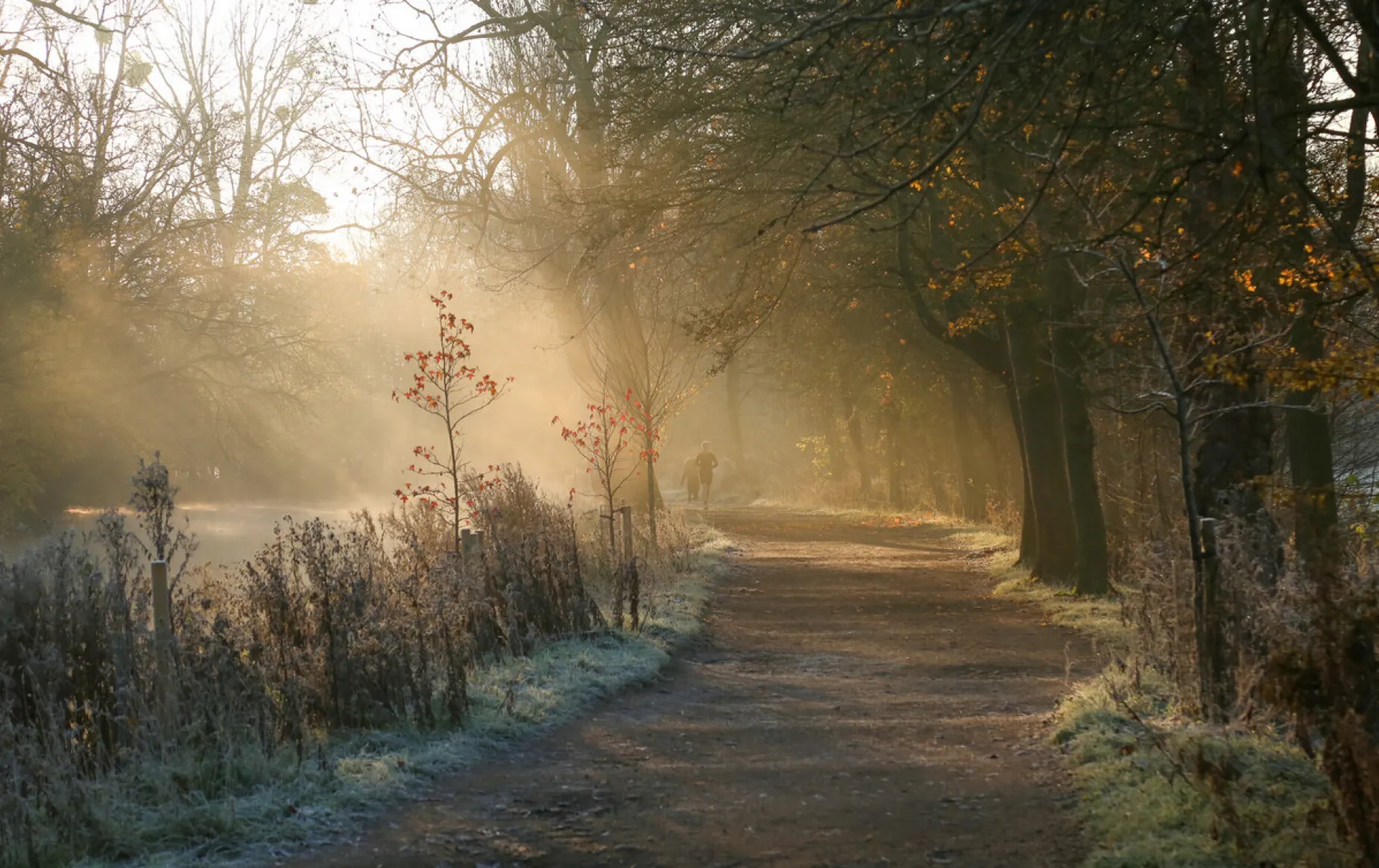 Christ Church Meadow on a winter's day