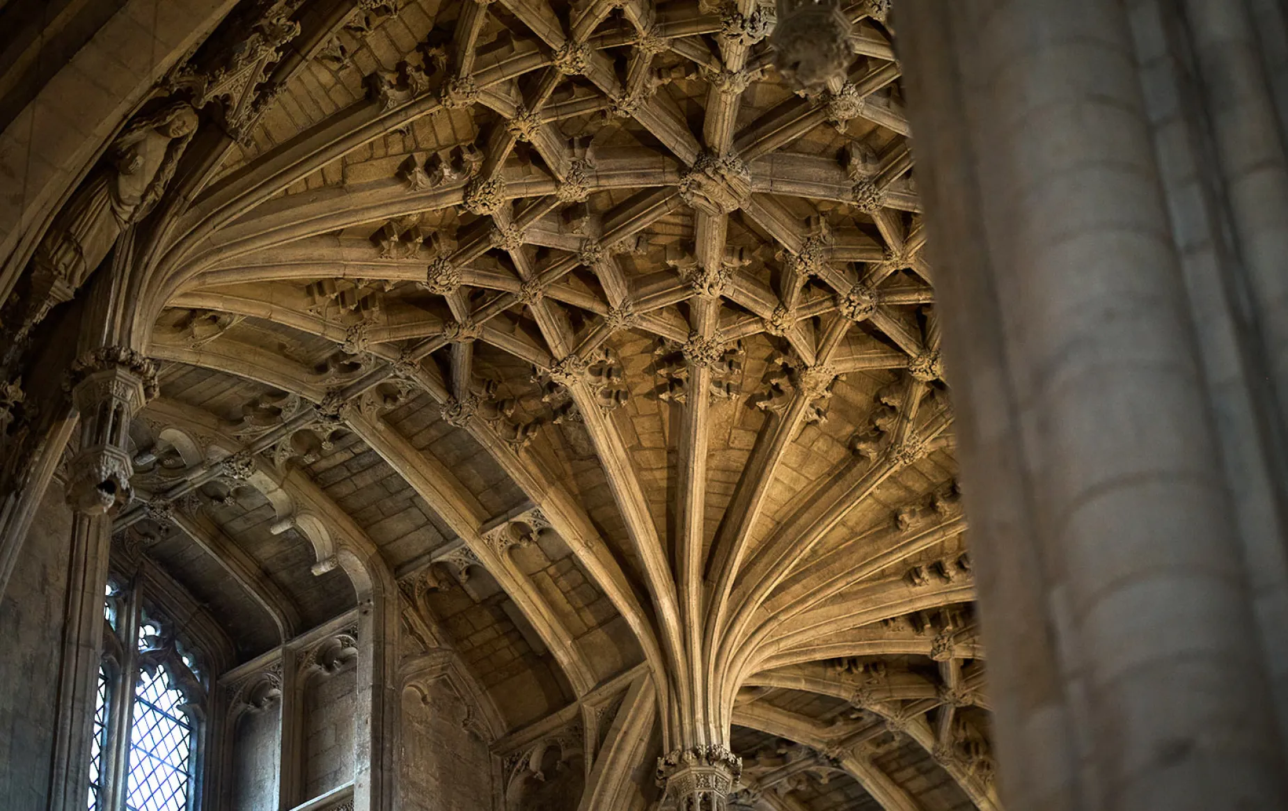 Detail of the Cathedral ceiling