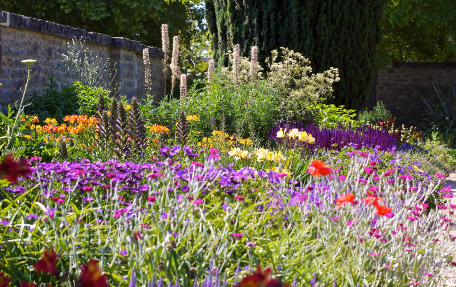 Flowering plants in a bed in the Masters Garden