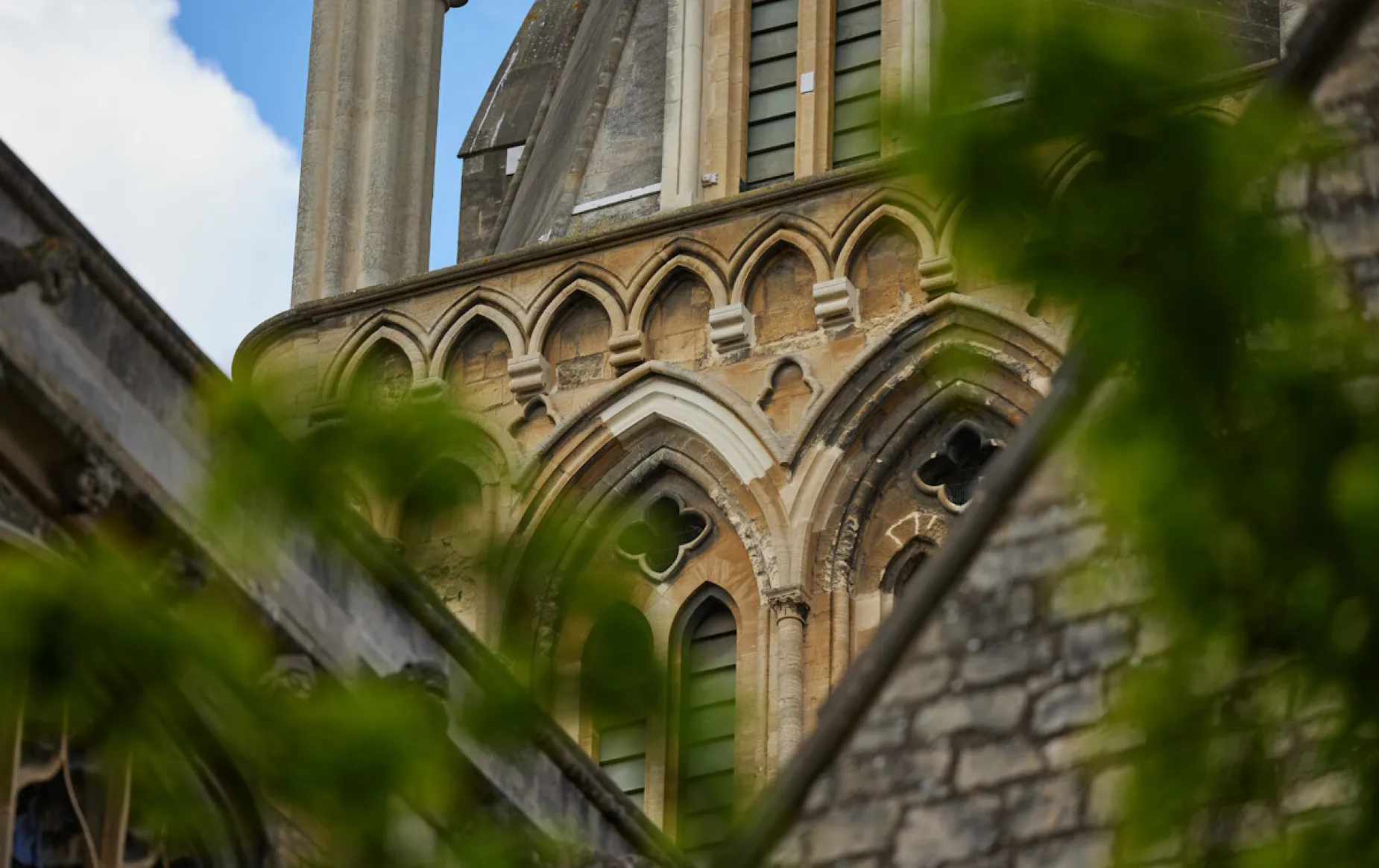 View of the Cathedral