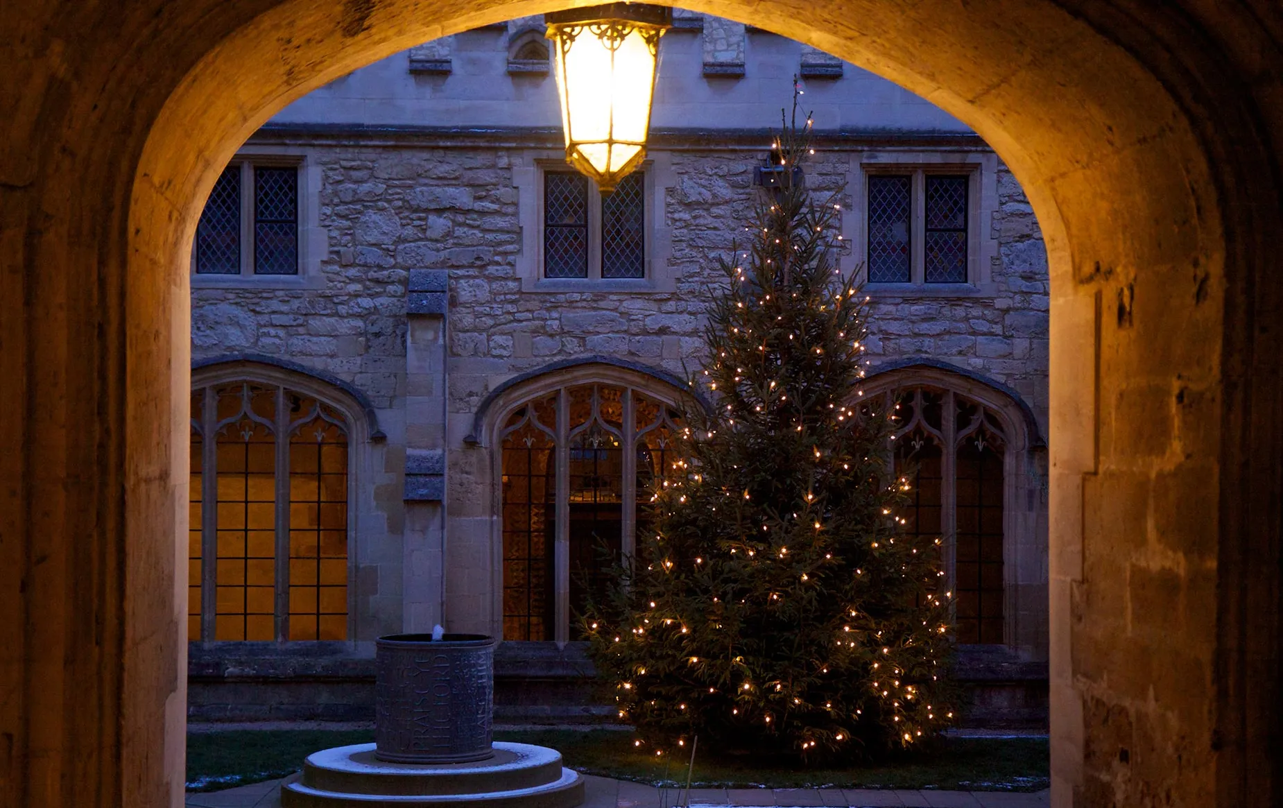 Christmas tree in the Cathedral cloister