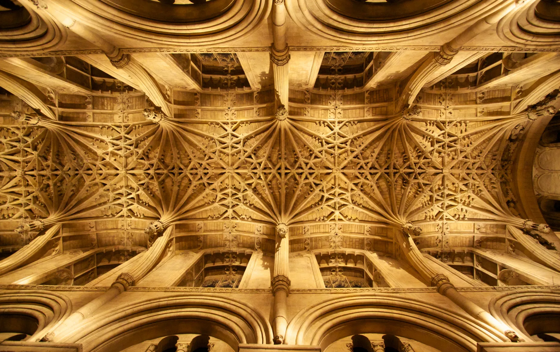 Cathedral Ceiling