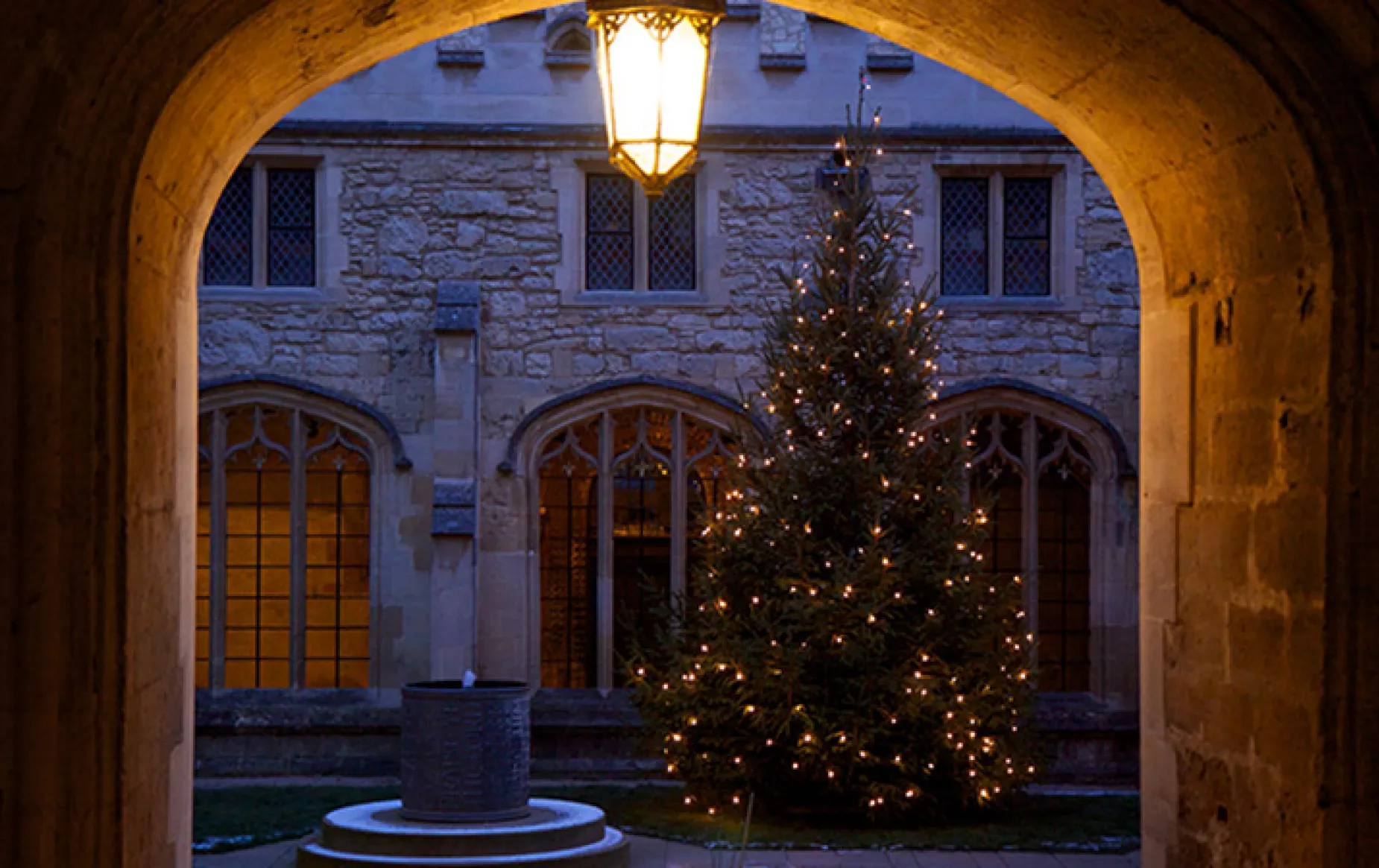 Christmas tree in Cloister