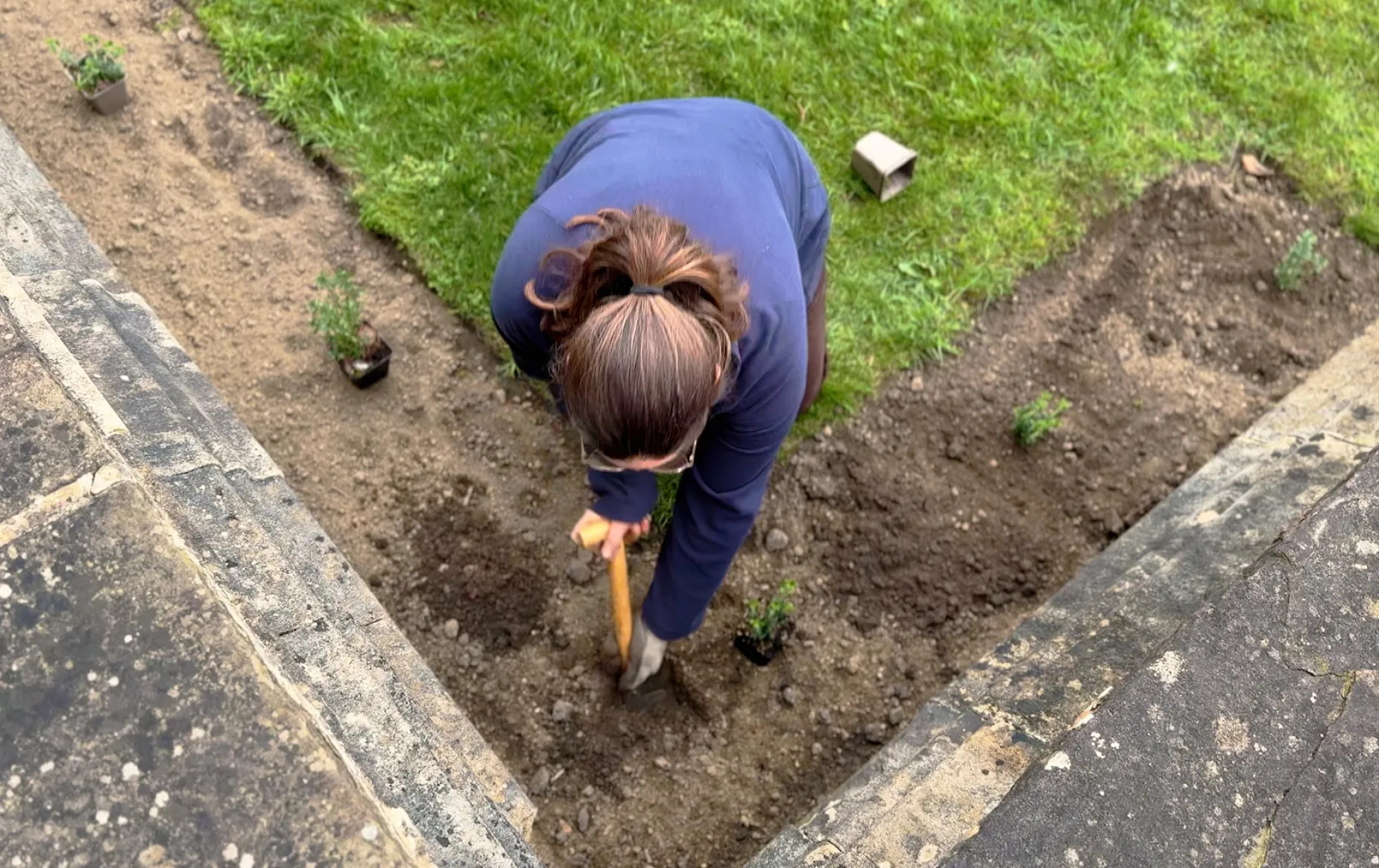 Aimee planting shrubs