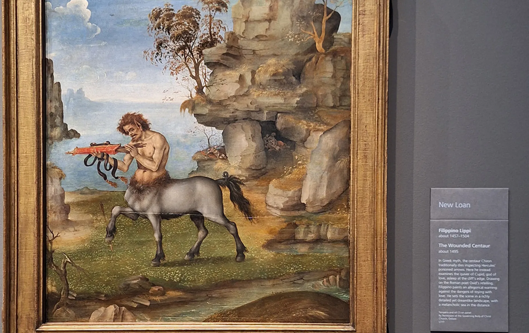 'The Wounded Centaur' by Filippino Lippi 