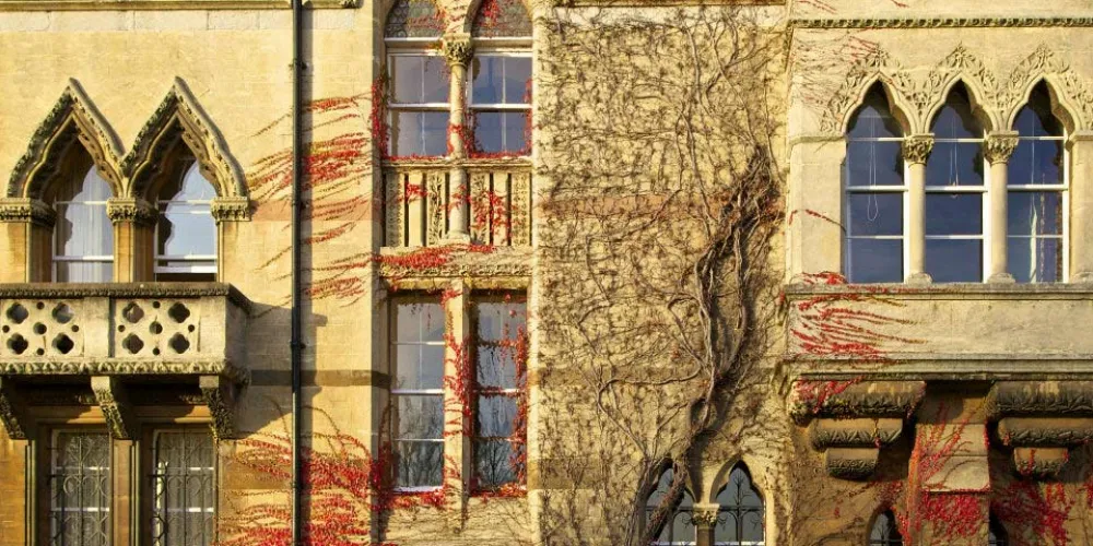 Meadows building exterior with wisteria