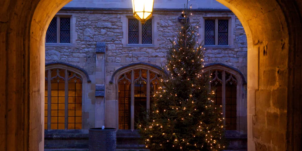 A Christmas tree in the Christ Church 