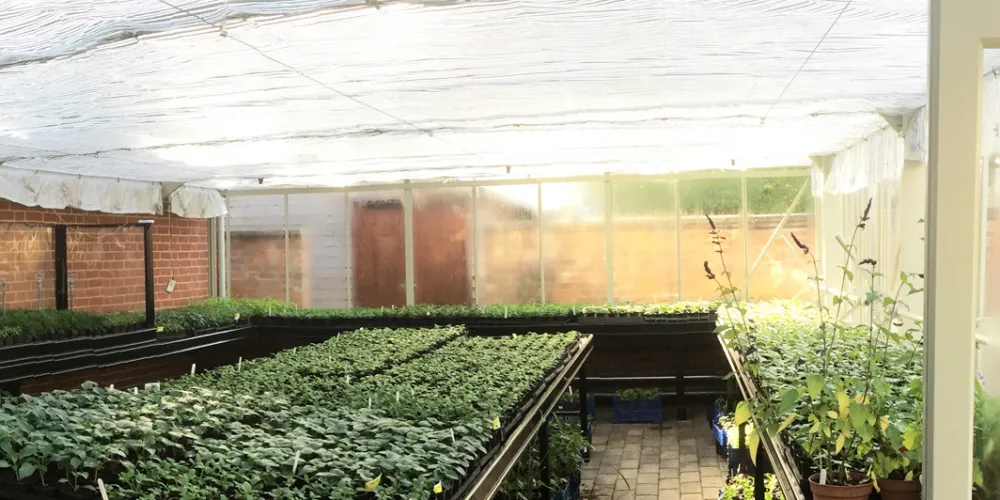 Thermal panels in the glasshouse