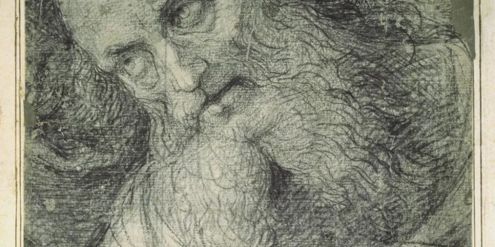 Part of Head of a Bearded Man by Pietro Perugino