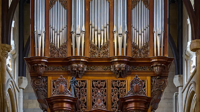 Detail of the Organ
