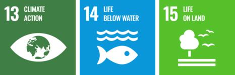 United Nations Development Goals graphic for 13 Climate Action, 14 Life Below Water, 15 Life on Land