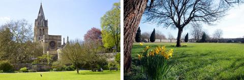 Views of the Masters Garden