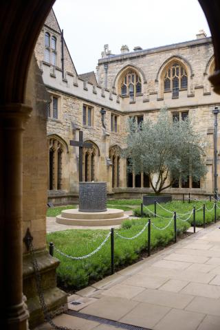 The Cathedral cloisters, with the fountain and olive tree in the middle