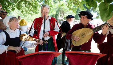 Tudor Fayre musicians