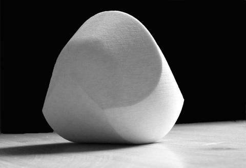 A gömböc in its stable equilibrium position