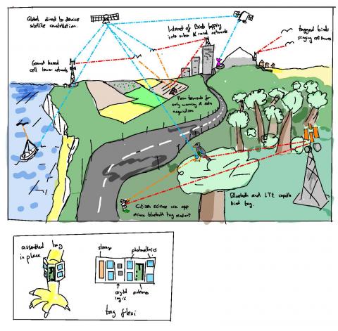 Internet of Birds cartoon illustration