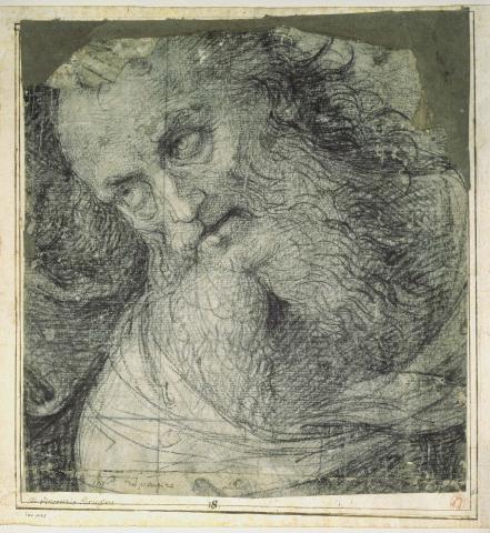 Head of a Bearded Man by Pietro Perugino