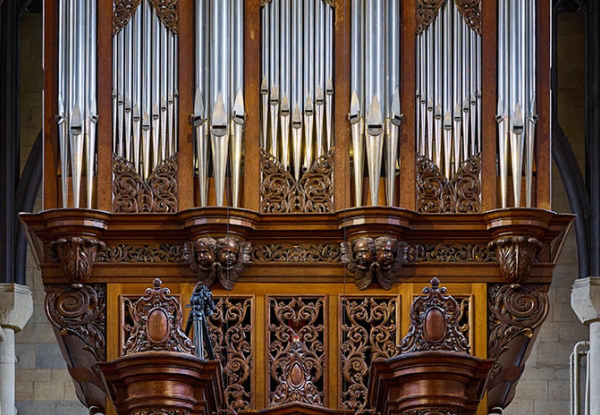 Detail of the Organ