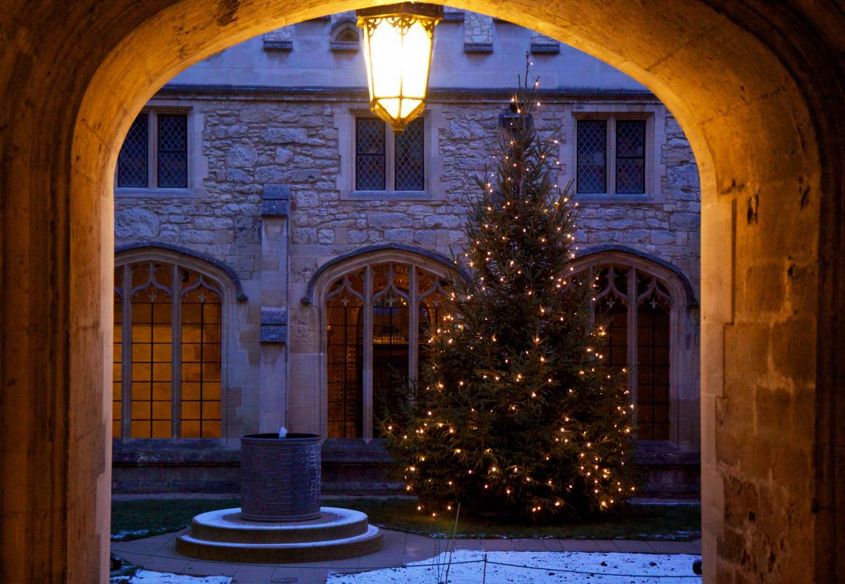 A Christmas tree in the Christ Church 