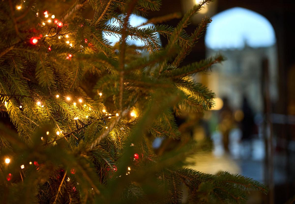 A Christmas Tree in Christ Church