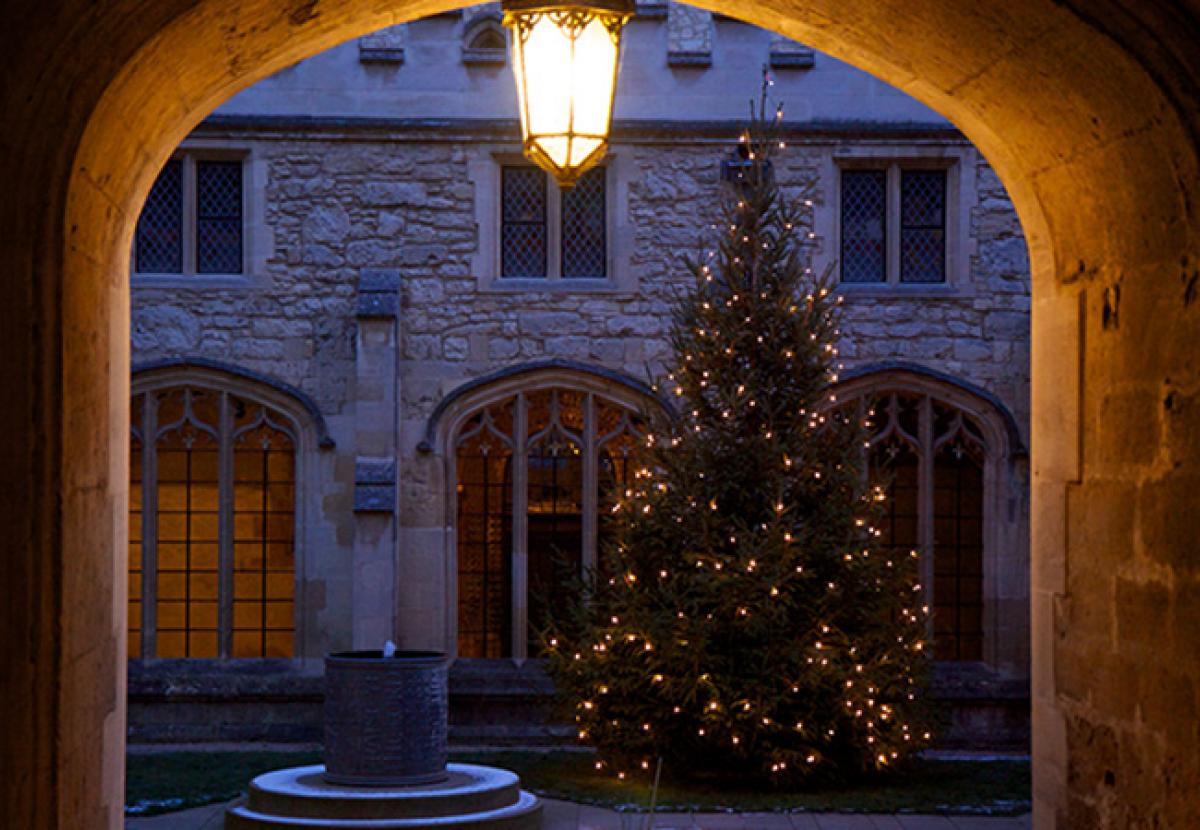 Christmas Tree in Cloister