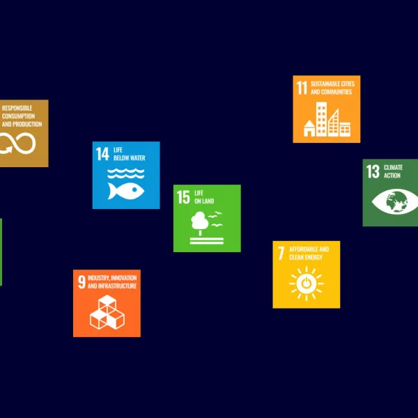 Random pattern made from United Nations Development Goals graphics related to ROPP