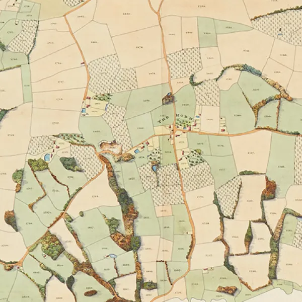 Detail from Hawkhurst map