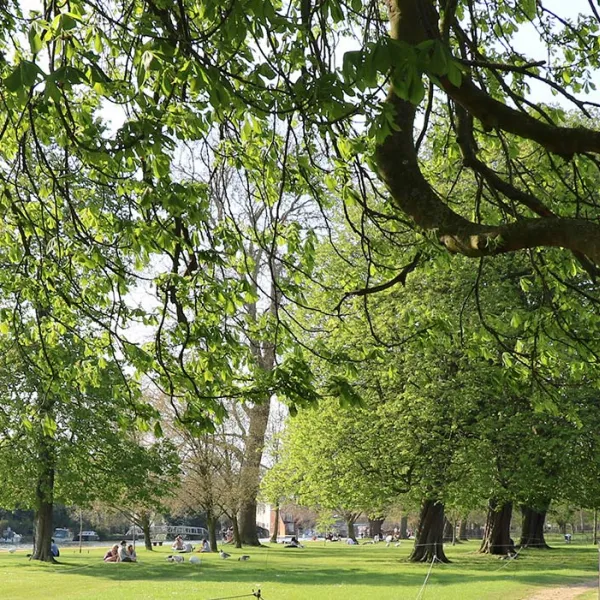 View of Deans Ham