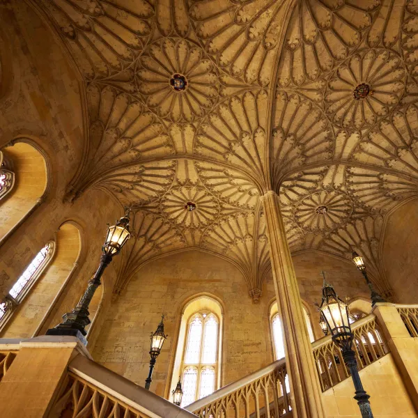 The Hall Staircase with the vaulted ceiling above