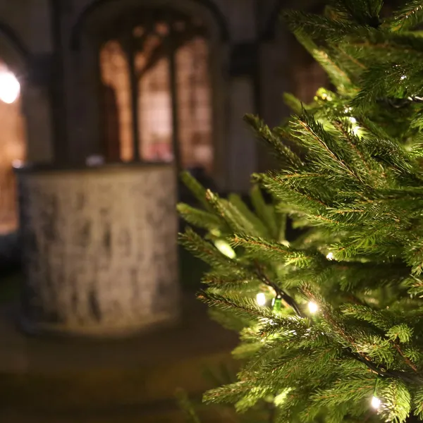 A lit christmas tree by the fountain in a dark cathedral cloisters gives a warm, cosy and festive feeling