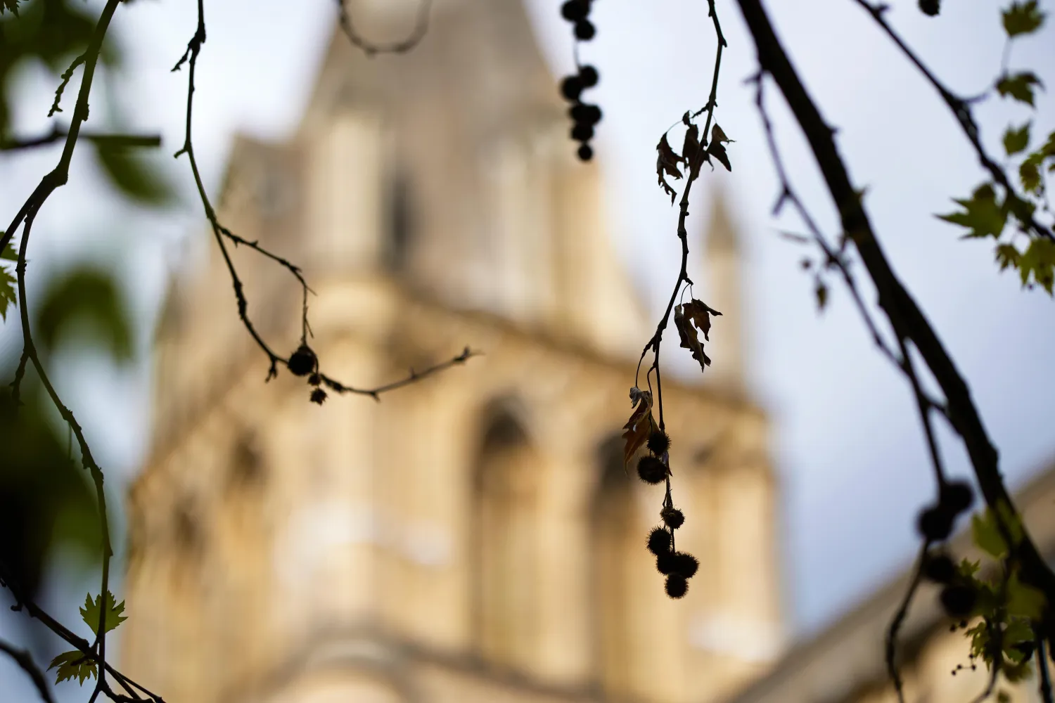 Christ Church Cathedral